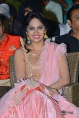 Srinivasa Kalyanam Movie Audio Launch Photos